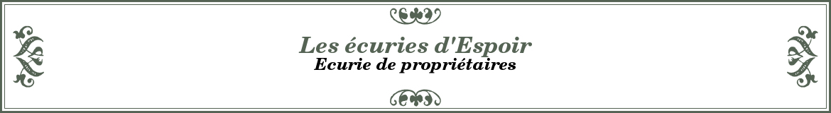 Les écuries d'Espoir